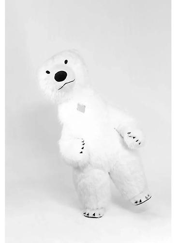 Карнавальные костюмы: Продается Ростовый надувной костюм прлярного Мишки. рост 2.6м костюм — 7