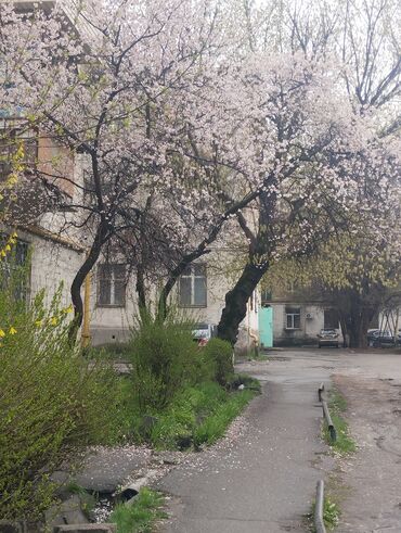 Продажа квартир: 3 комнаты, 72 м², Сталинка, 3 этаж