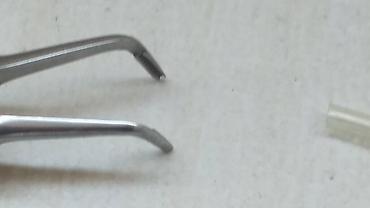 Medicinska oprema: Stomatološki instrumenti peani makaze klješta — 3