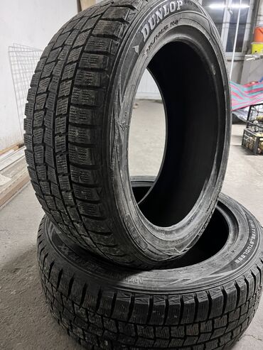 Шины: Шины 225 / 50 / R 18, Зима, Пара, Внедорожные (АТ/МТ), Япония, Dunlop