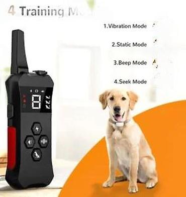 Oprema za kućne ljubimce: Daljinski trening ogrlica za pse – komplet sa daljinskim upravljačem — 9