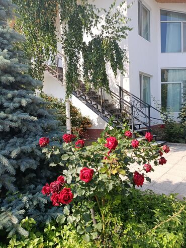 купить дом в рабочем городке бишкек: Номер, ФУРОР ЦО Кыргызское взморье, Бостери, Охраняемая территория