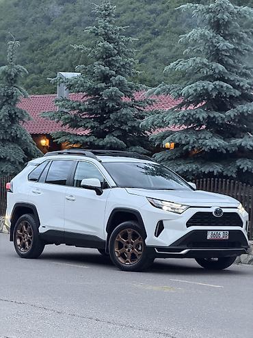 Toyota: Toyota RAV4: 2023 г., 2.5 л, Автомат, Гибрид, Внедорожник — 3