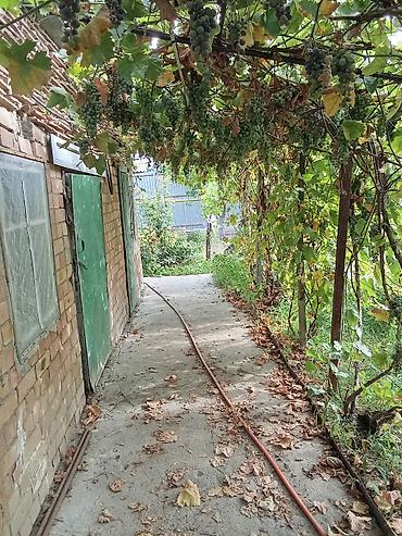 Продажа коттеджей и домов: Продам дом в Канте. - Одноэтажный дом с белым фасадом, пластиковыми — 16