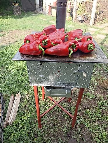 gorionik na zemni gas: Bubnjara (Kube) sa slike prečnika fi 520 mm,izradjena od debelog — 10