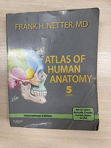 inter: Атлас анатомии человека, Frank H. Netter, MD — International Edition — 2