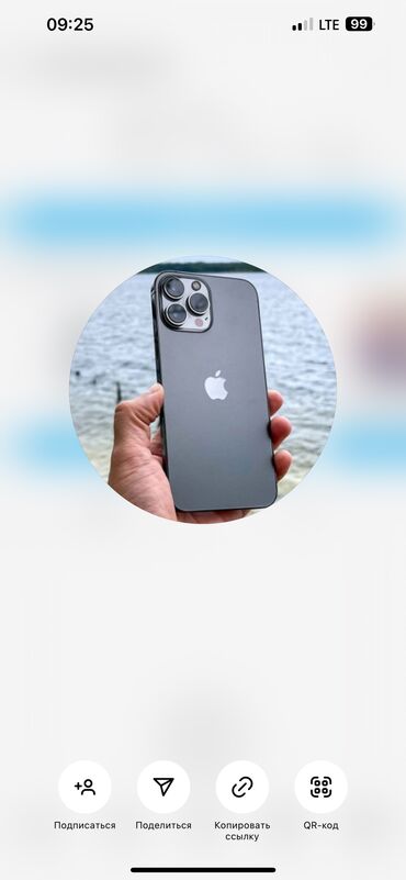 Apple iPhone: IPhone 13 Pro Max, Б/у, 256 ГБ, Защитное стекло, Чехол, 83 %