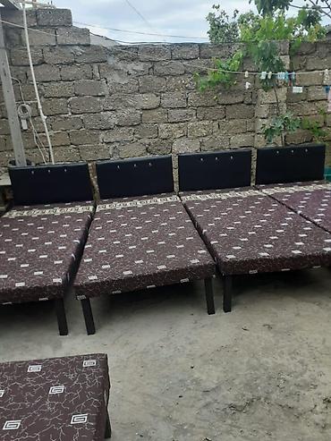 velo home: Kravat taza — 1