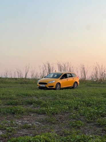 Ford: Ford Focus: 2016 г., 1.6 л, Механика, Бензин, Универсал — 10