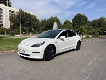 дворники на авто: Tesla Model 3 Standard Plus 2021 из Южной Кореи. Обмен с доплатой в