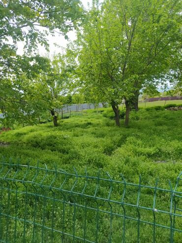 Torpaq sahələrinin satışı: 62 sot, Biznes üçün, Mülkiyyətçi, Kupça (Çıxarış) — 8