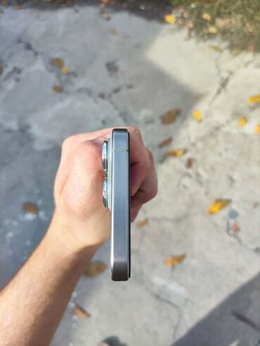 Apple iPhone: IPhone 15 Pro Max, Б/у, 256 ГБ, Natural Titanium, Чехол, 89 % — 7