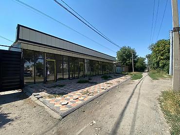 сдаю гагарина: Сдаю The entire store: 53 м² — 2