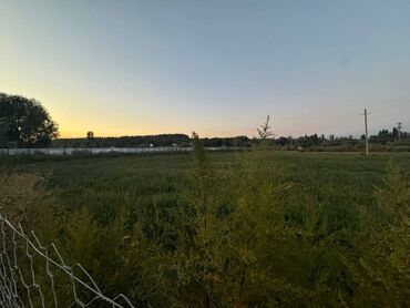 Продажа участков: 1700 соток, Для бизнеса, Красная книга — 8