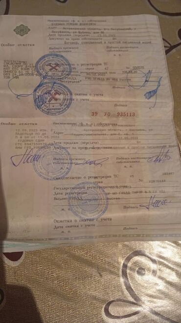 Daewoo: Daewoo Lanos: 2008 г., 1.5 л, Механика, Бензин, Седан — 2