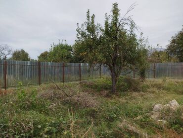 kirayə evlər xutor: 4 sot, Tikinti, Mülkiyyətçi, Kupça (Çıxarış)