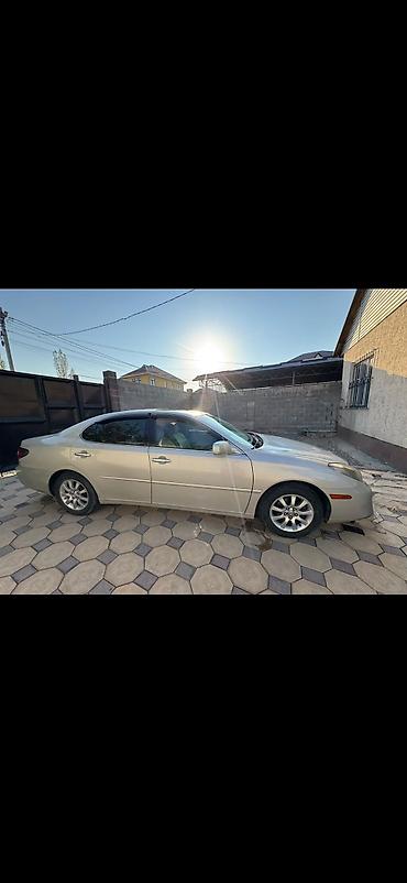 Lexus: Lexus ES: 2002 г., 3 л, Автомат, Газ — 11
