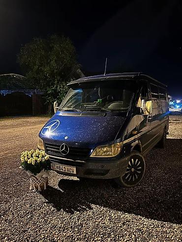 range river: Mercedes-Benz Спринтер: 2004 г., 2.7 л, Автомат, Бензин, Бус — 1
