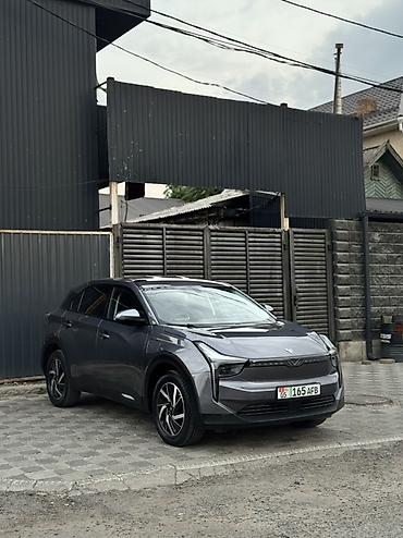 Hozon: Hozon Neta U: 2022 г., 0.1 л, Автомат, Электромобиль, Кроссовер — 2
