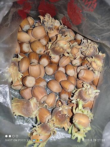 Продажа коттеджей и домов: Дом в ЧолпонАте р-он Хутор на участке более 10соток Продажа, два дома — 10