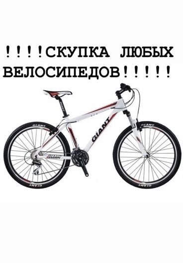 выкуп велосипедов: Скупка взрослых велосипедов, скупаем дорого, писать или звонить по