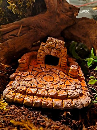 Зоотовары: 🌿 Украшения и декорации для аквариумов и террариумов 🌿 Продаю — 13