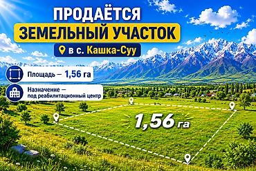 165 соток