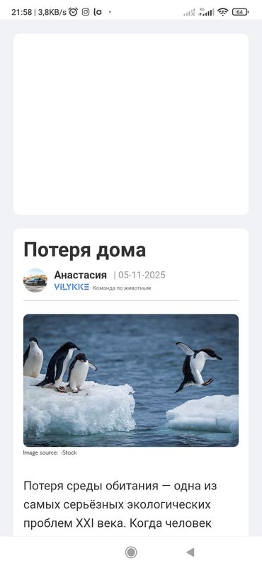 Baklar və çənlər: Bak, Metal — 4