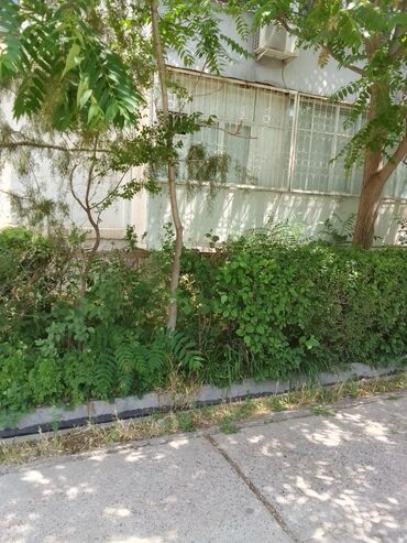 Продажа квартир: 3 комнаты, 82 м², 106 серия улучшенная, 1 этаж, Косметический ремонт