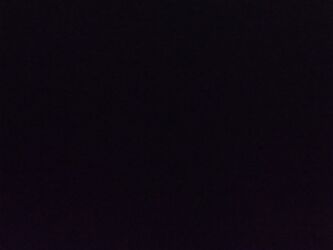 офицант: Официант. Тажрыйбасыз