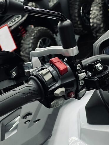 Квадроциклы: Квадроцикл Бензин, 1000 куб. см, Взрослый — 2