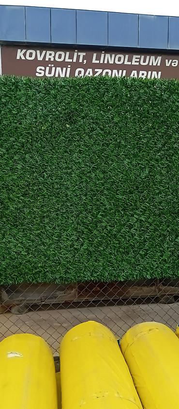 Bağ və bostan üçün digər məhsullar: Yaşıl arakəsmə. Türkiyə istehsalı paslanmayan ikiqat məftil və dörd — 5