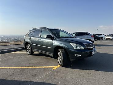 мухабойка на рх 300: Lexus RX: 2004 г., Автомат — 1