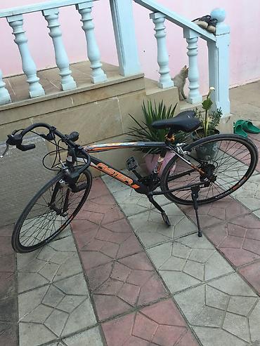 28 velosiped: Şəhər tipli yol velosipedi – Caster markası - Yüngül alüminium gövdə — 1