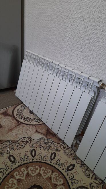 Radiatorlar: İşlənmiş Seksiyalı Radiator Alüminium, Ünvandan götürmə, Ödənişli çatdırılma