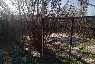 Продажа коттеджей и домов: 📍с.Маевка 🔘4-комнаты 🔘49,5м² Продаю четырехкомнатный дом. В селе — 20