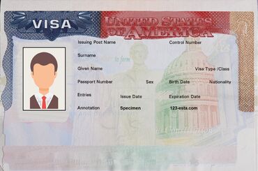 виза в корею: Помогу с Визой в США В Корею в Канаду Студенческая виза Рабочая