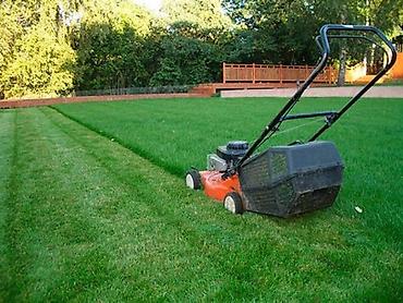 Дворники, садовники: 🌱Я садовник сеем газон с нуля посев газон садовник выезд — 20