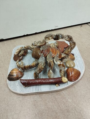 kvars qum: Dəniz qabıqlarından hazırlanmış dekorativ “Əqrəb” kompozisiyası -