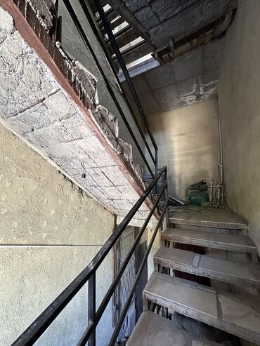 Продажа участков: 27 соток, Красная книга — 11