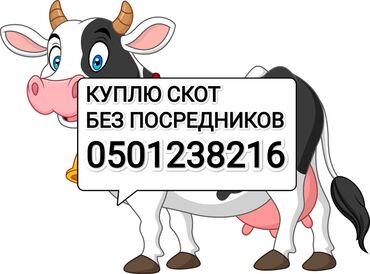 продаю козлят: Куплю с/х животных