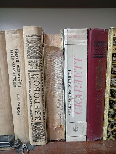 Художественная литература: Классика, На русском языке — 6