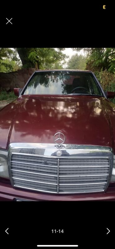 Mercedes-Benz: Mercedes-Benz 230: 1989 г., 2.3 л, Механика, Газ, Седан