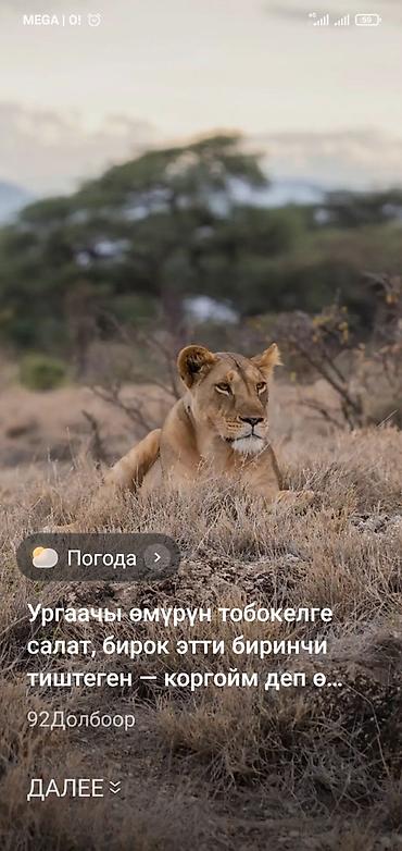 pc 4 pro: Продаю клевер тюки качества хороший с поля свой огород — 1