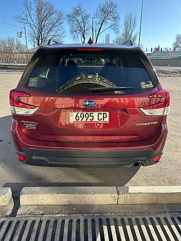 Subaru: Subaru Forester: 2020 г., Бензин — 3