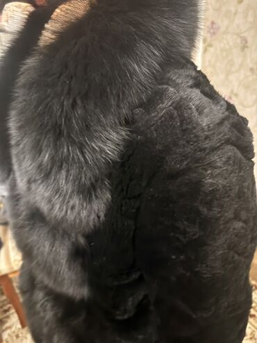 Шубы: Шуба, Длинная модель, Турция, С капюшоном, XL — 10