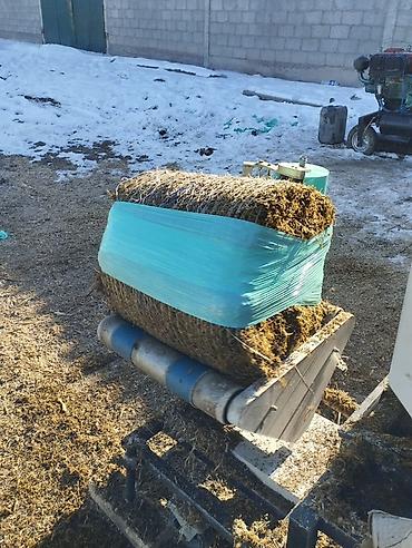 Корма для с/х животных: Силос — 9 сомдон рулон. Сенаж — 12 сомдон рулон. Беде биринчи кос таза — 10