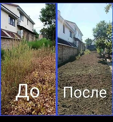 Уборка территории: Уборка территории, Уборка двора и сада — 9