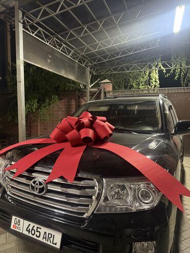 Декоративные ленты и банты: Авто бант в аренду и на продажу 🎁🎁🎁 Самый лучший вариант удивить