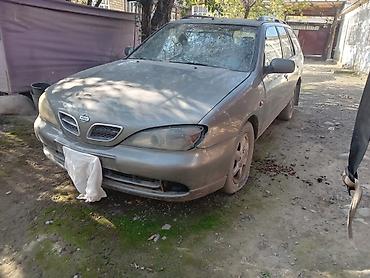 оборудование для покраски дисков: Nissan Primera: 2001 г., 1.8 л, Механика, Бензин, Универсал — 4